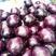 精品紫光茄产地直供质量保证一手货源代发全国