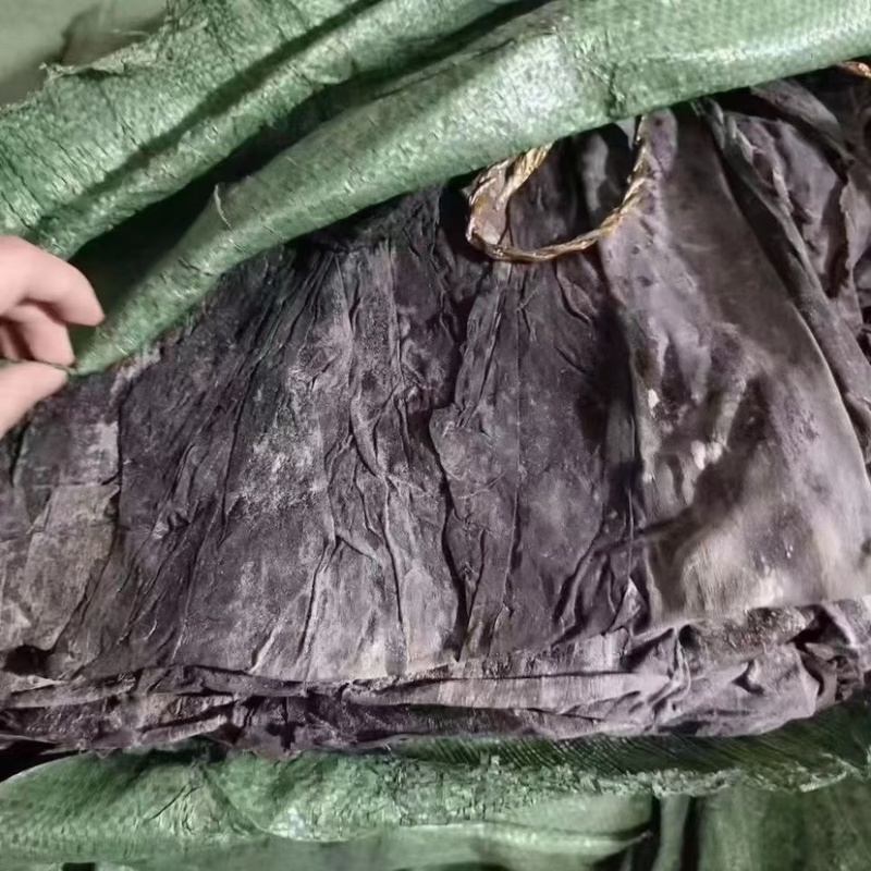 海带皮海带丝山东大海带福建海带王干货