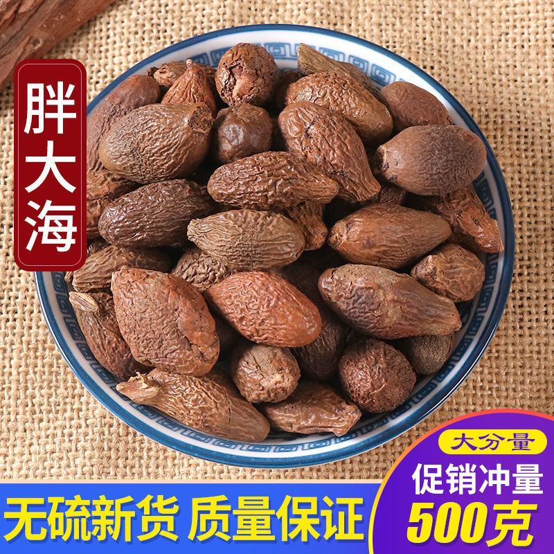新货个大饱满胖大海特级大果无硫胖大海茶全国一件代发