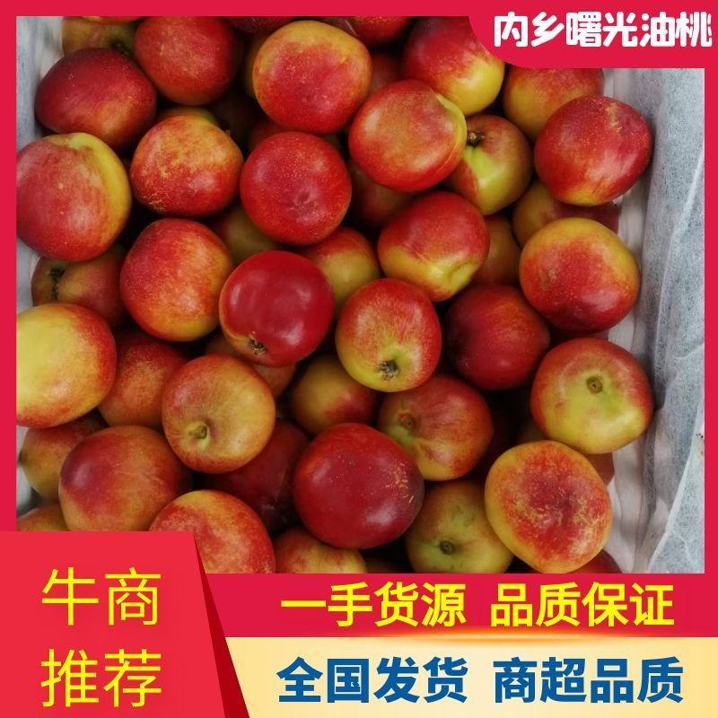 【推荐】油桃曙光油桃南阳露天黄油桃一手货源量大价优