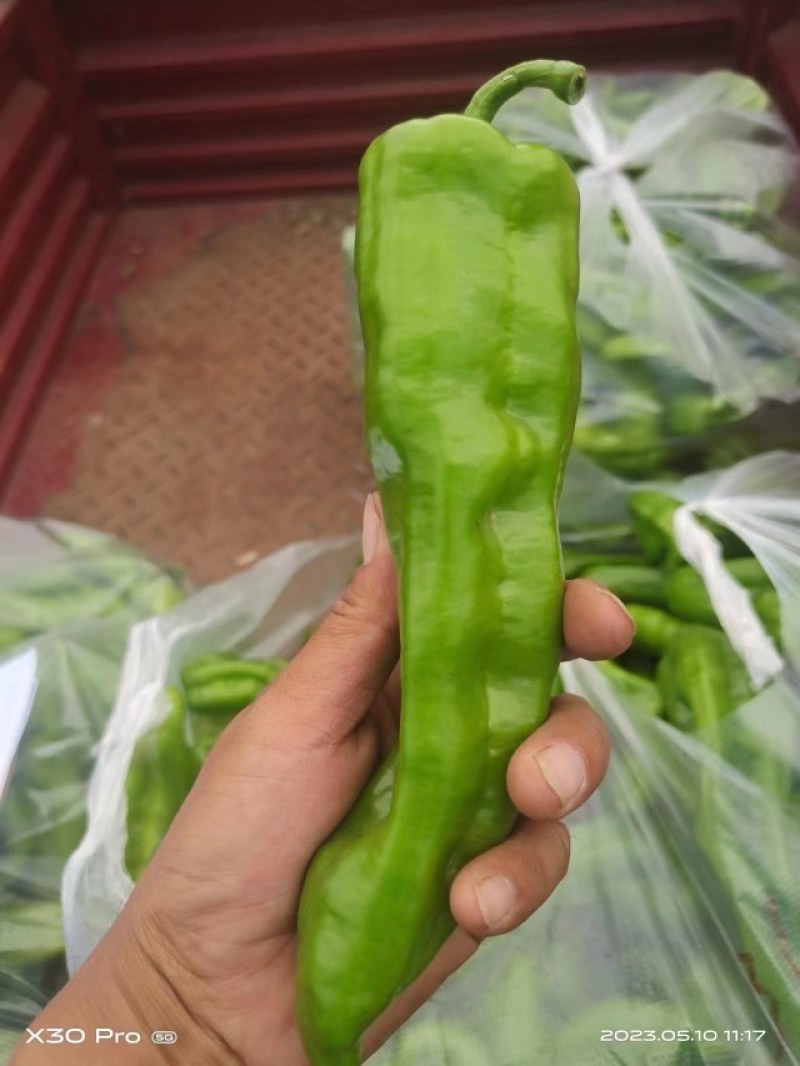 大量有货