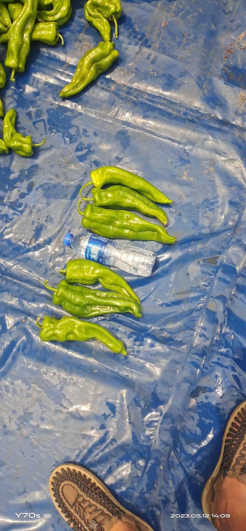 大量有货