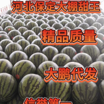 甜王、冰糖子、K西瓜上市中。产地直发，代发全国。