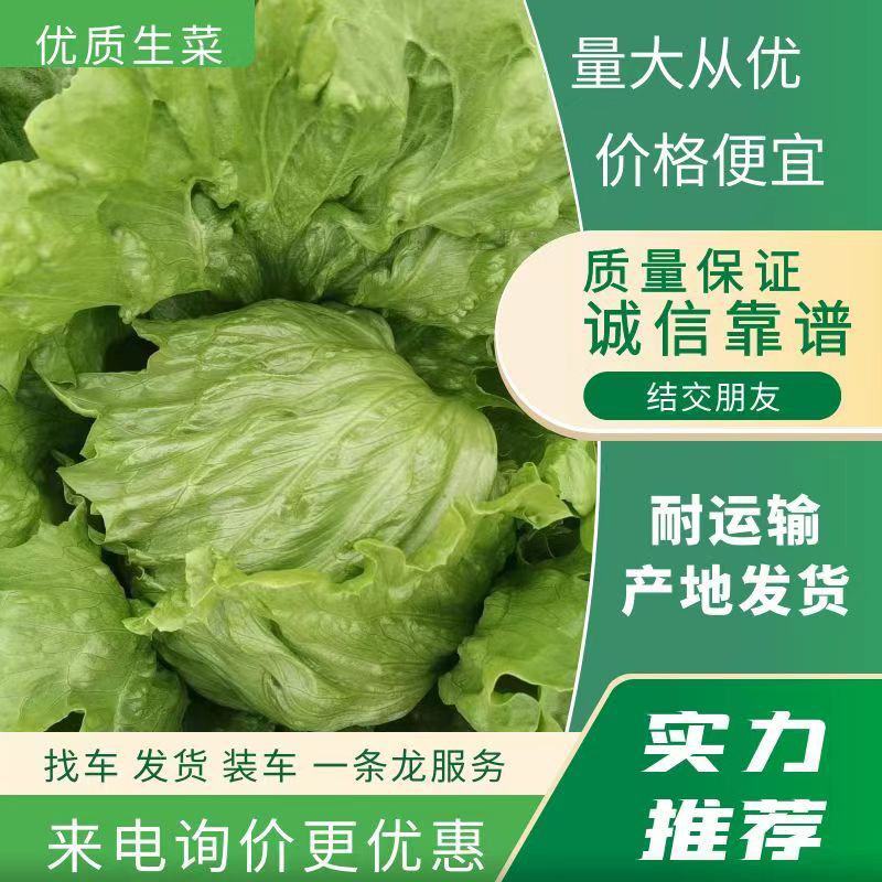 热卖球生菜！产地直供！大棚种植！货源充足！欢迎订购！