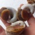 猫眼螺玉螺无沙食海鲜
