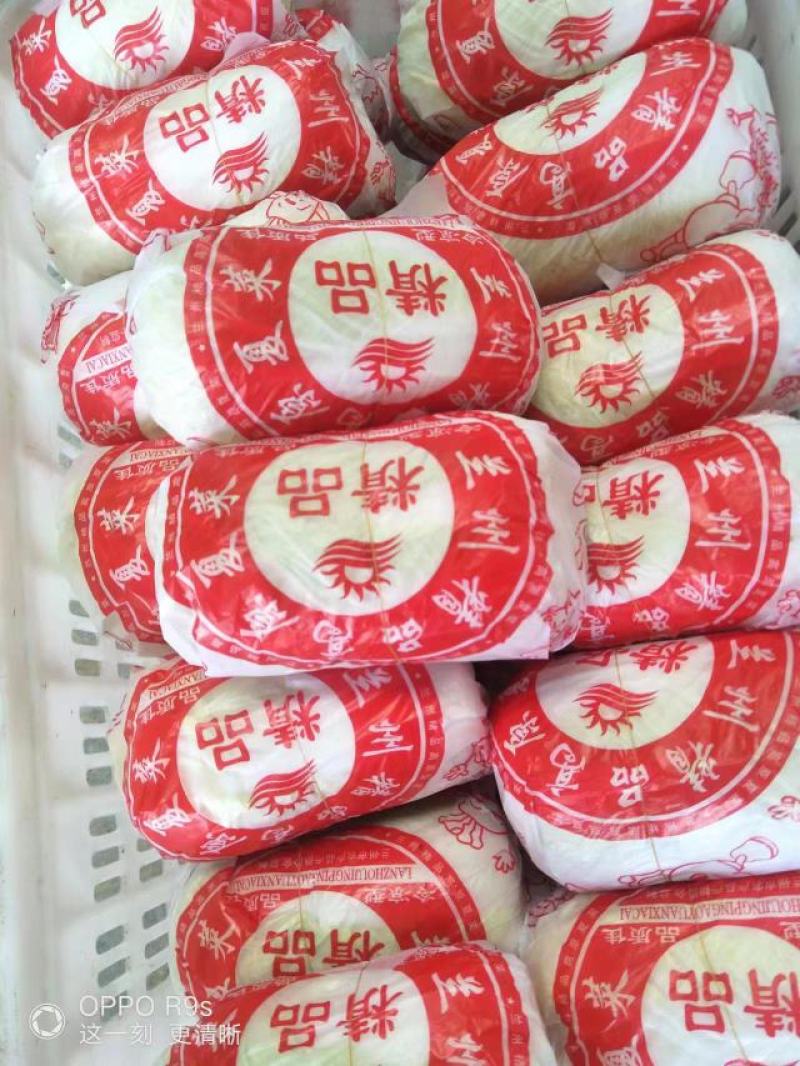 大娃娃菜
