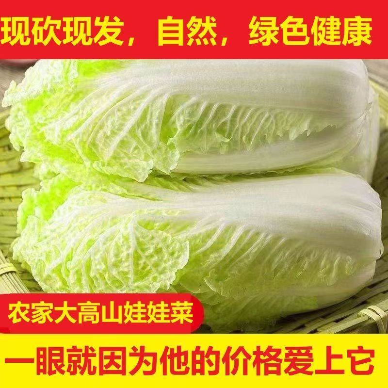 大娃娃菜