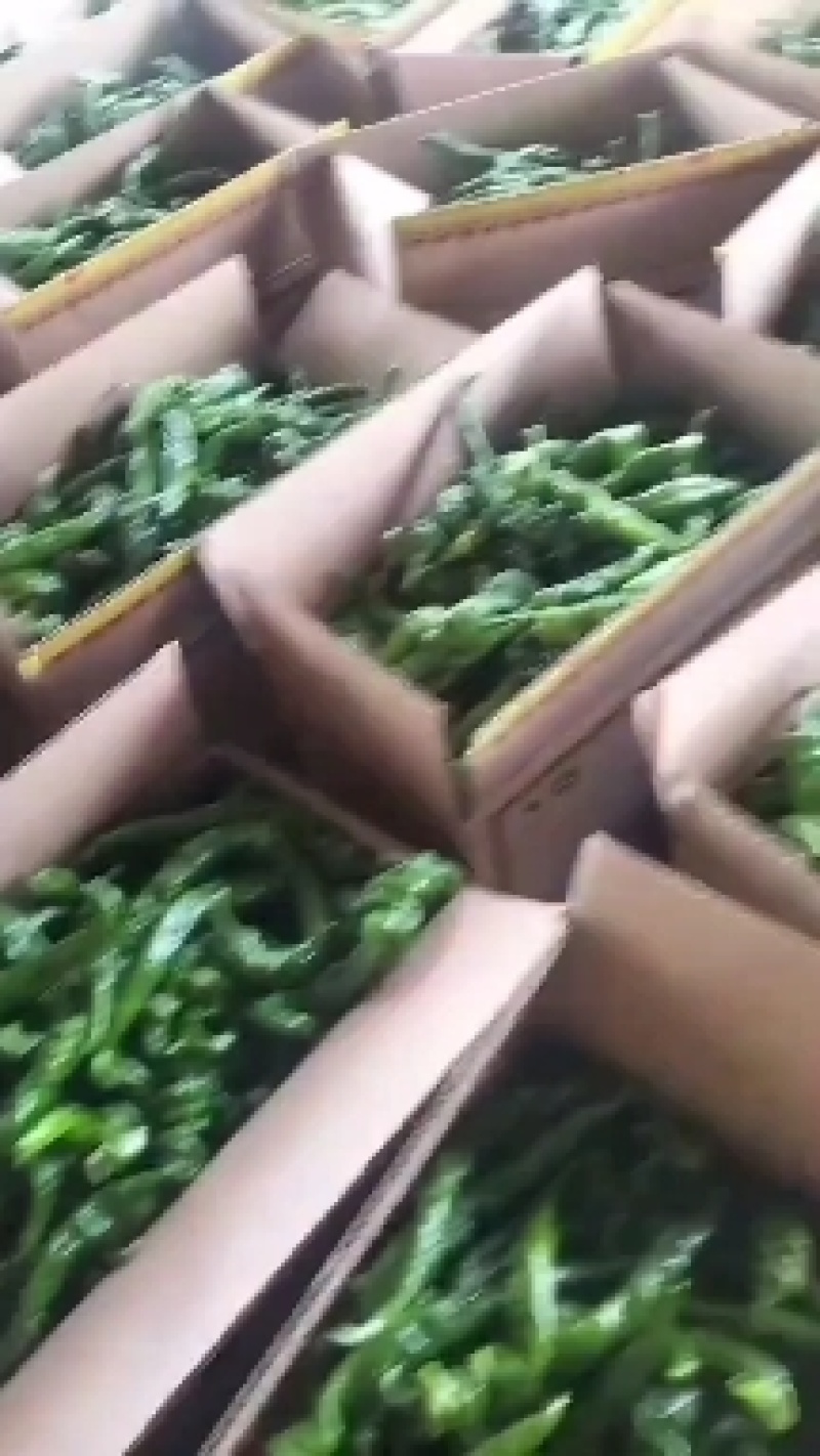 螺丝椒