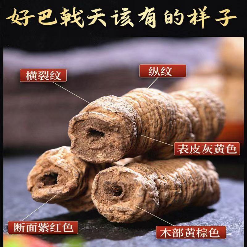 正宗巴戟天生晒抽芯无硫干货泡水泡酒中药材