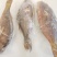 西沙粉衣鱼-活杀极冻粉衣鱼批发-海南生鲜供应西沙粉衣鱼