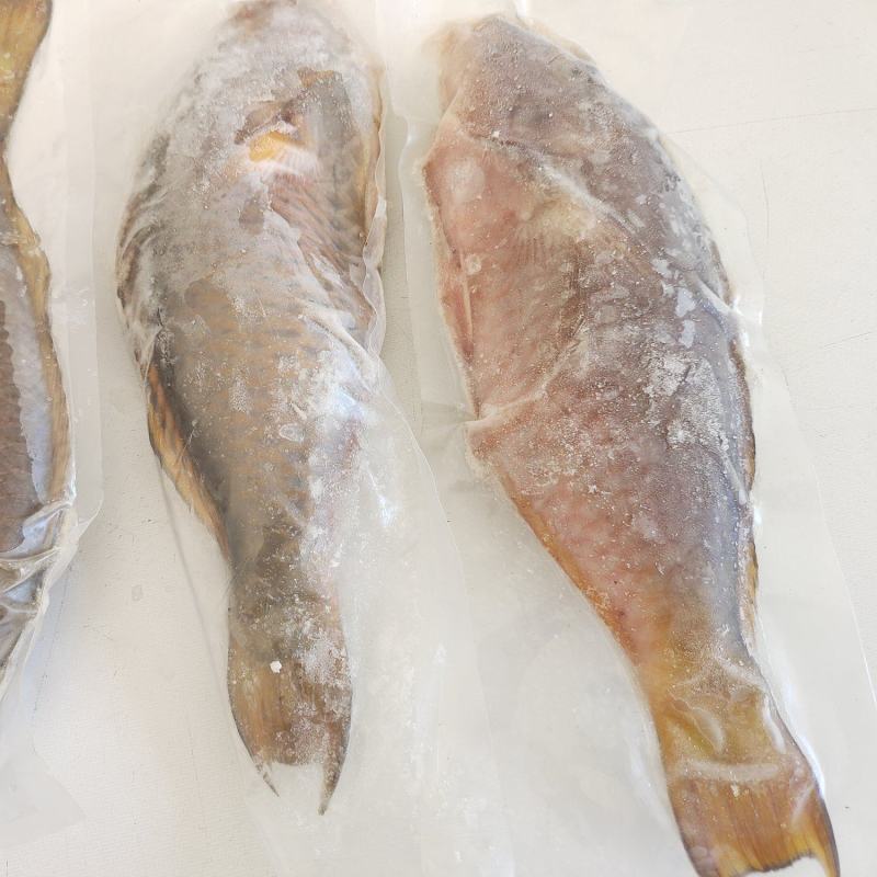 西沙粉衣鱼-活杀极冻粉衣鱼批发-海南生鲜供应西沙粉衣鱼