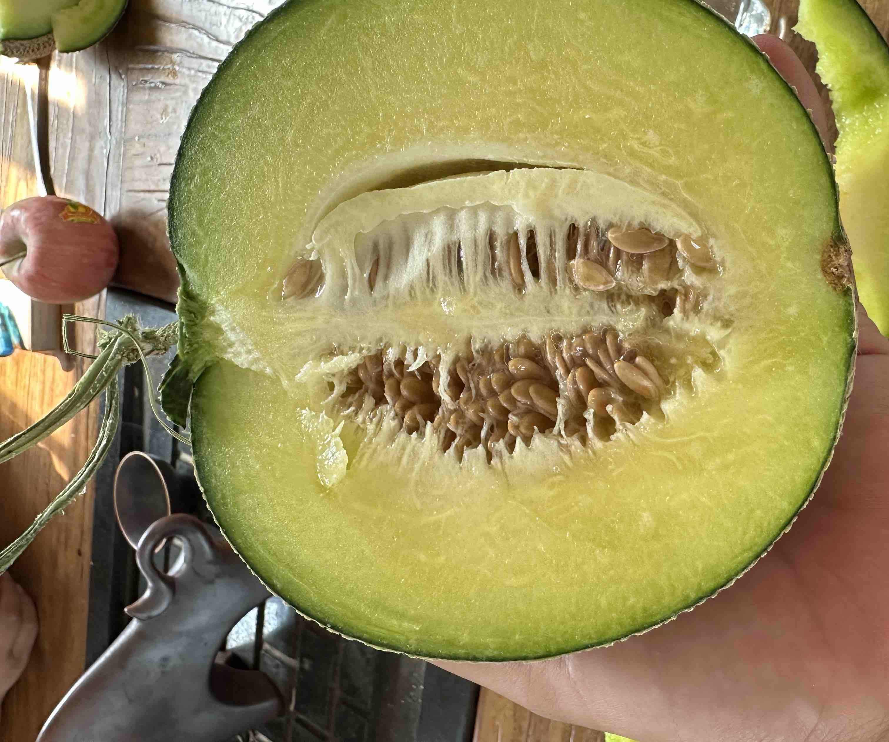 久红瑞甜瓜切开后展示内部果肉与籽粒