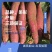 红薯苗秦薯五号脱毒杨凌区