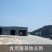 新鲜金耳当天采摘基地直供长期大量供应
