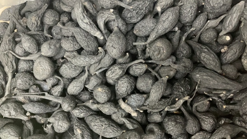 乌灵参，天然菌类植物无添加