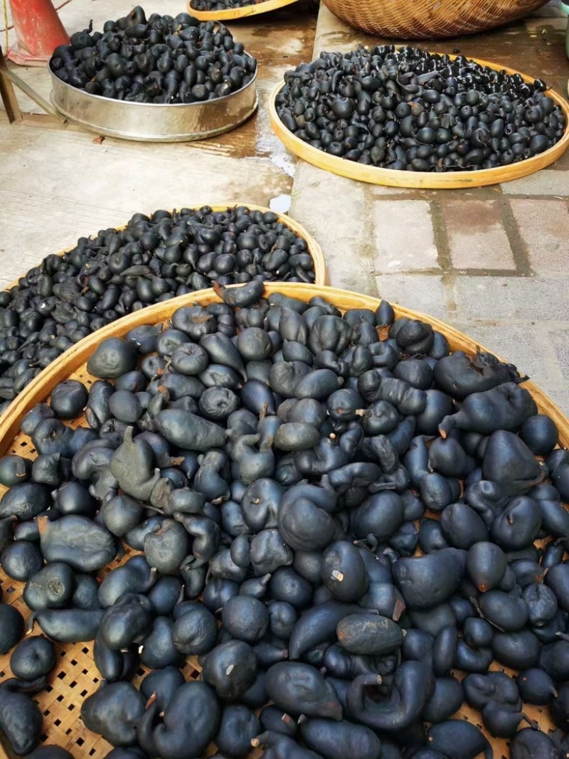 乌灵参，天然菌类植物无添加