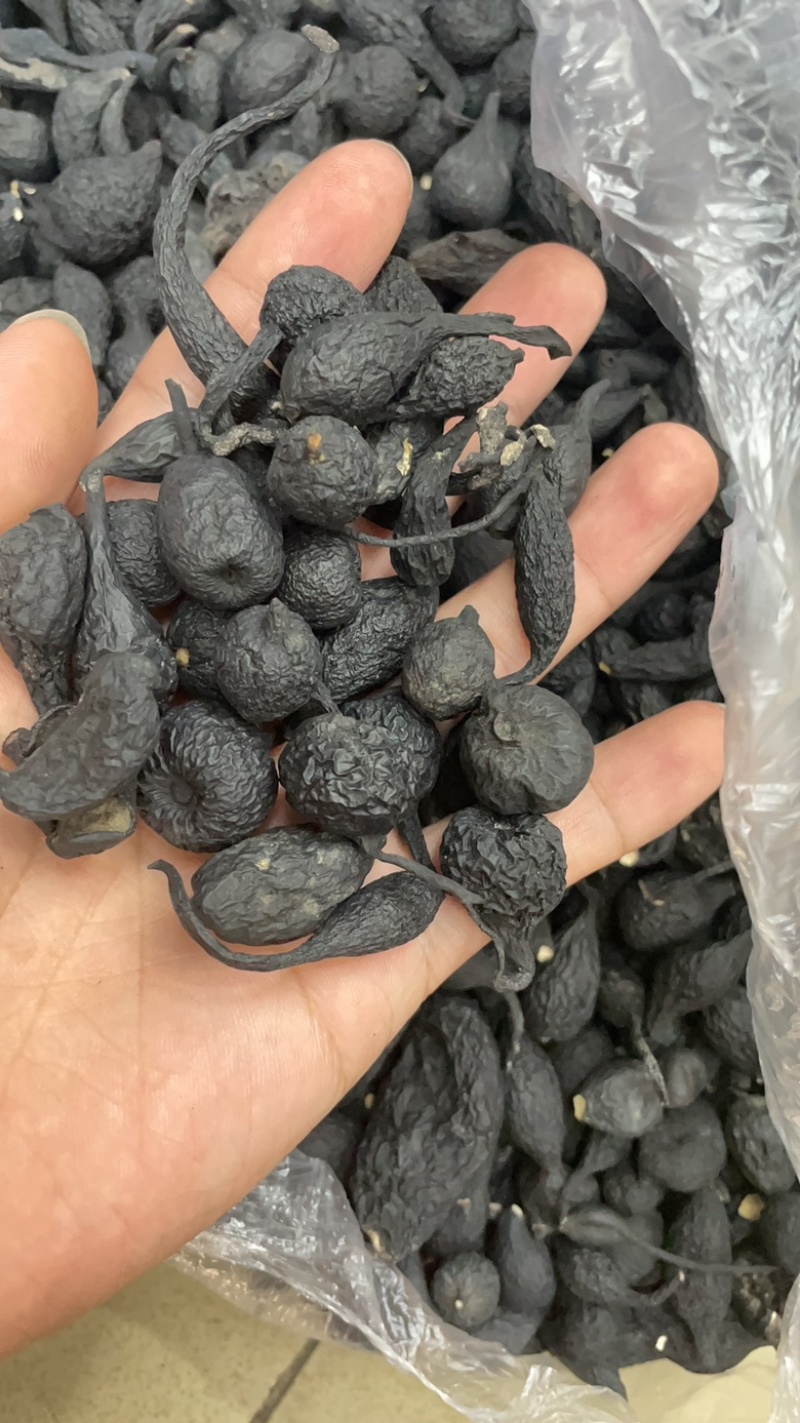 乌灵参，天然菌类植物无添加