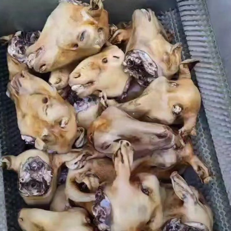 火烧小羊头