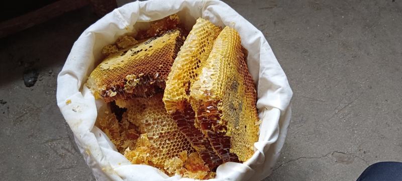 土蜂蜜