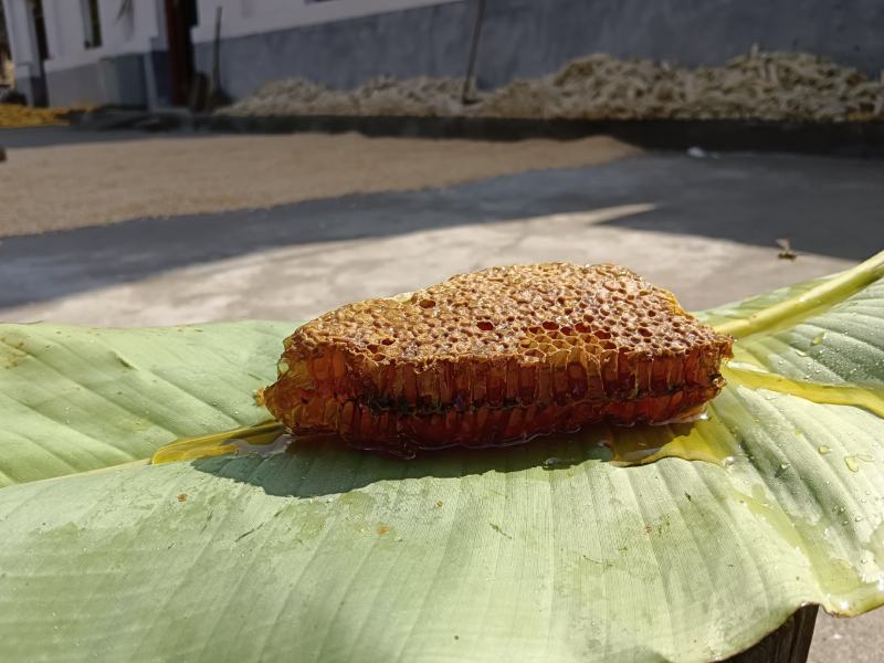 土蜂蜜