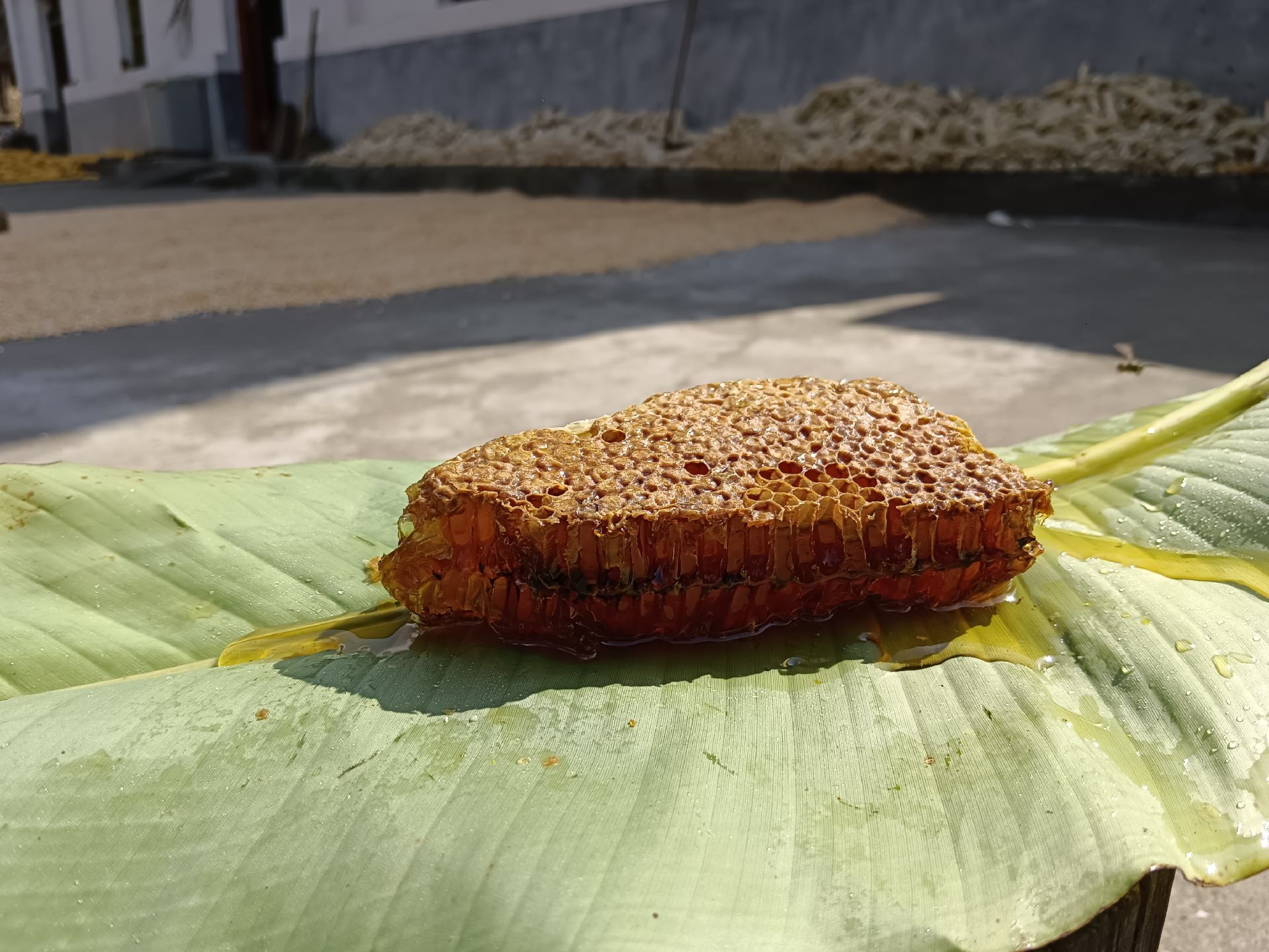 一杯温水中加入几滴野生蜂蜜和柠檬片,呈现出自然健康的饮品组合 野生蜂蜜与柠檬水搭配图