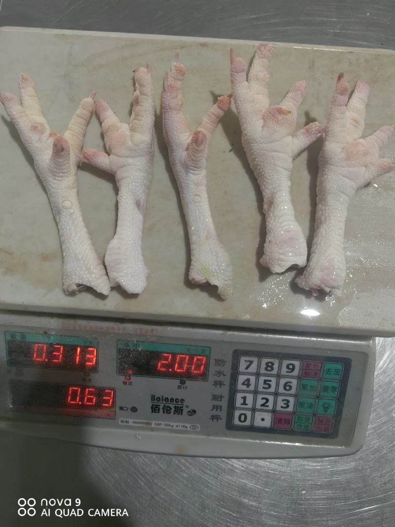 精品鸡爪，大鸡爪，老鸡鸡爪，品质保证，量大从优，可视频看货