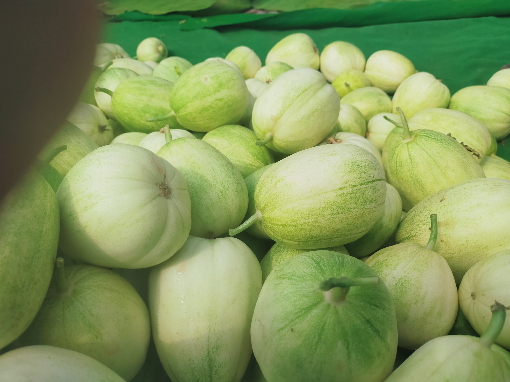 木瓜与健康饮食