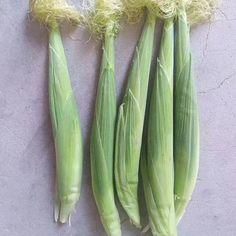 玉米笋，精品货，打包散装都可以安排，货量充足