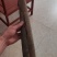 通货桂皮价格便宜