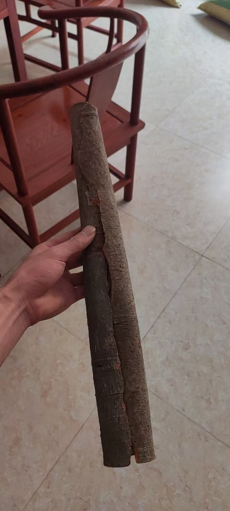 通货桂皮价格便宜