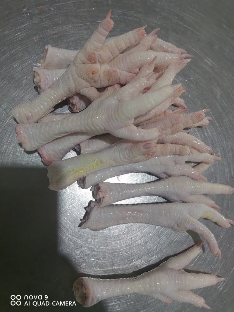 精品鸡爪，大鸡爪，老鸡鸡爪，品质保证，量大从优，可视频看货