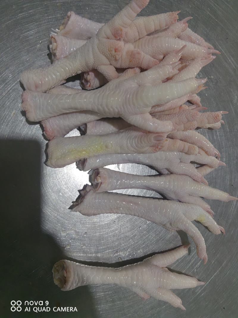 精品鸡爪，大鸡爪，老鸡鸡爪，品质保证，量大从优，可视频看货