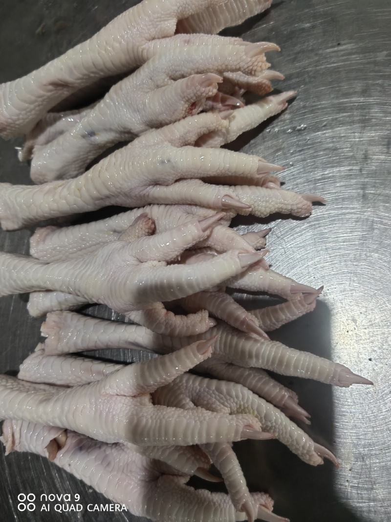 精品鸡爪，大鸡爪，老鸡鸡爪，品质保证，量大从优，可视频看货