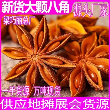 批发大红八角大料桂皮调味料新货八角干料香料大全八角