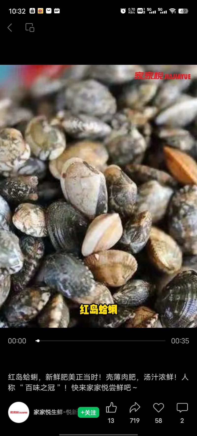 青岛红岛蛤蜊批发价格优惠