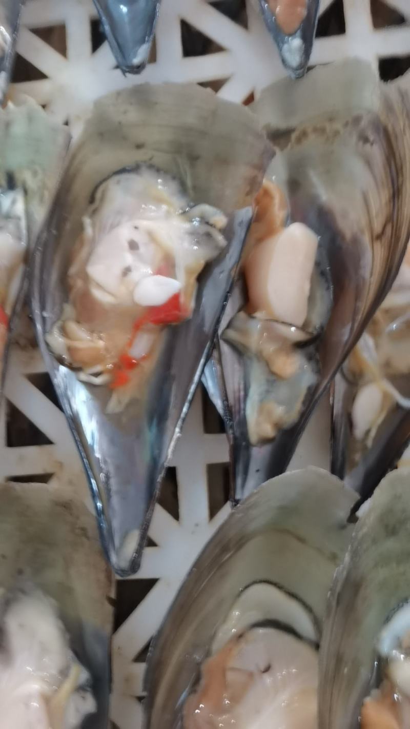 半壳冷冻带子产地直发江瑶贝海带子绿贝海鲜烧烤自助餐专用