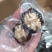 椰枣新疆特产干果坚果味道超好吃的