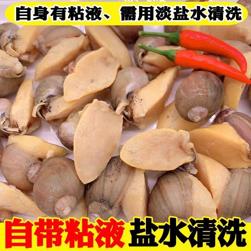 带壳鲍鱼螺假鲍鱼肉新鲜冷冻捞汁小海鲜食材珍珠鲍商用鲍