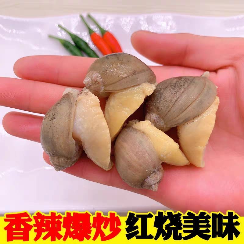 带壳鲍鱼螺假鲍鱼肉新鲜冷冻捞汁小海鲜食材珍珠鲍商用鲍