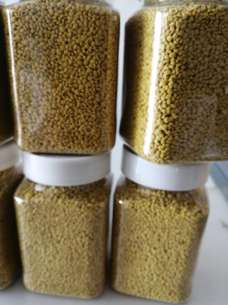 油菜花粉纯净无杂质新鲜蜂农自产每瓶500克。一斤起包邮。