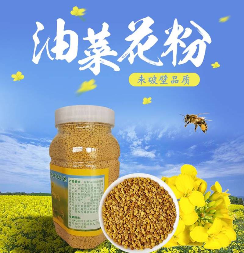 油菜花粉纯净无杂质新鲜蜂农自产每瓶500克。一斤起包邮。