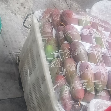云南贵妃芒果