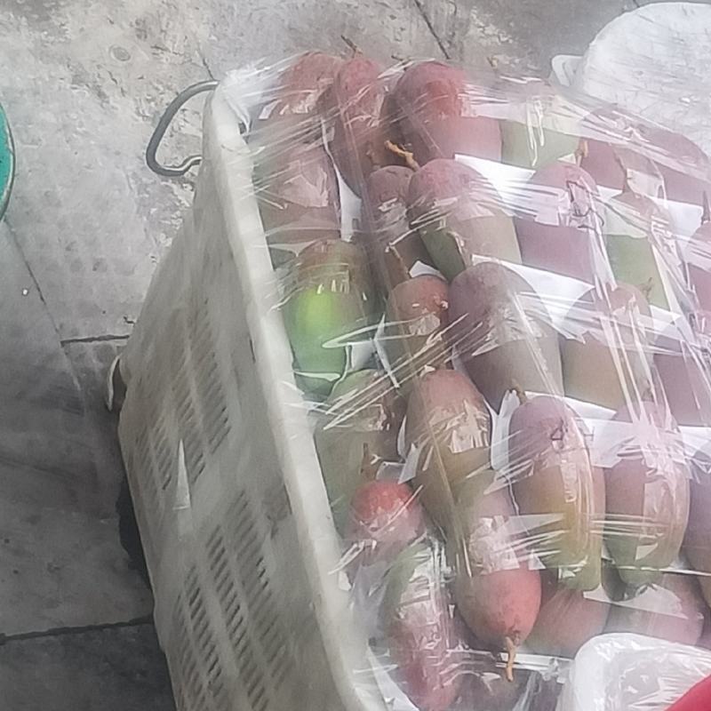 云南贵妃芒果