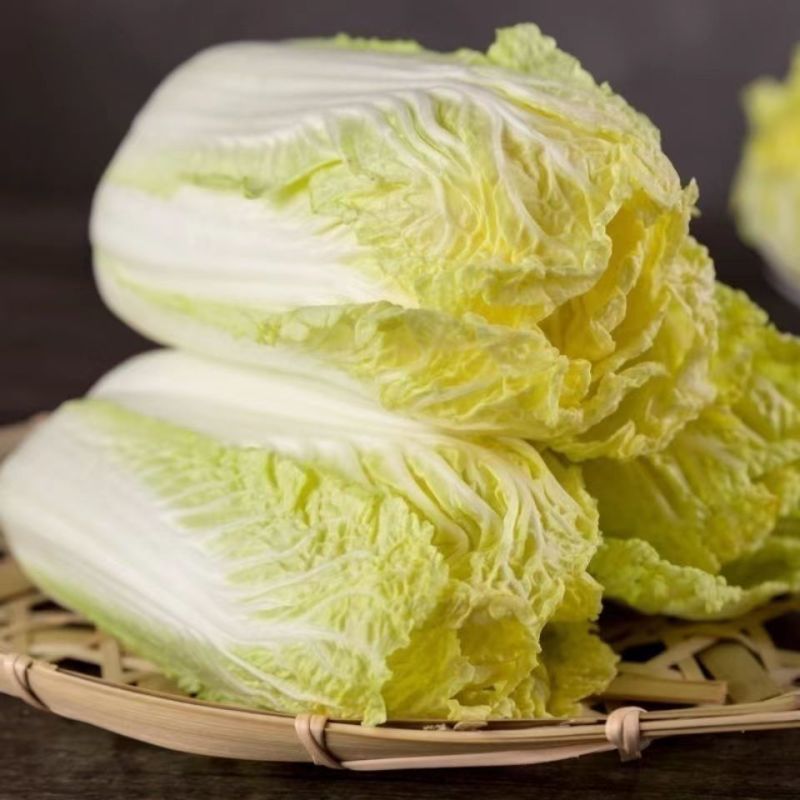 娃娃菜