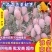 广西百色芒果精品贵妃芒大量上，产量达到创纪录供全国商超