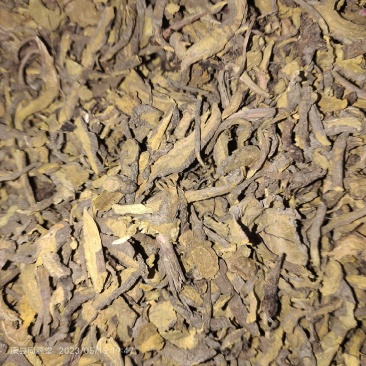 土大黄土大黄干货各种野生中药材一手货源产地直供