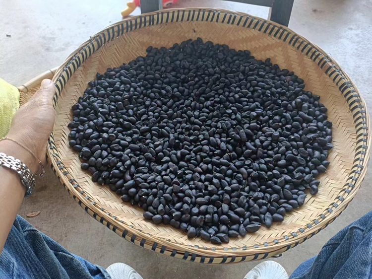 黑玛卡粉包装与标签特写图