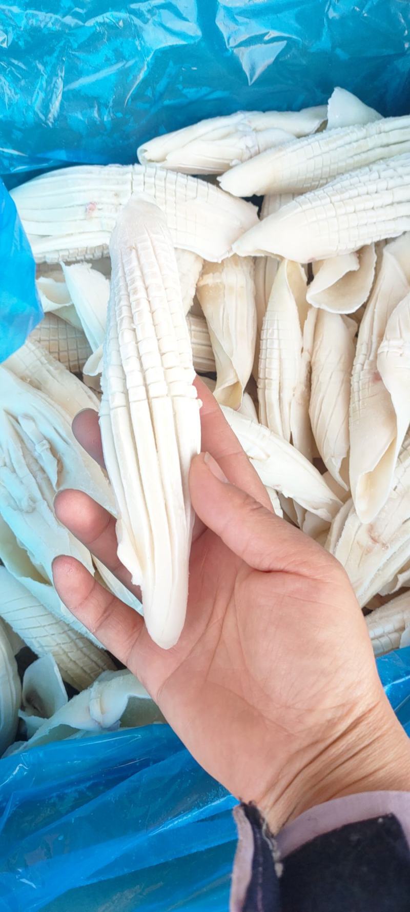 火箭鱿鱼整只冷冻新鲜鱿鱼须铁板烧烤商用批发量大从优火锅食
