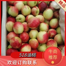 518甜油桃，个大脆甜，颜色好，一手货源，欢迎大家合作。