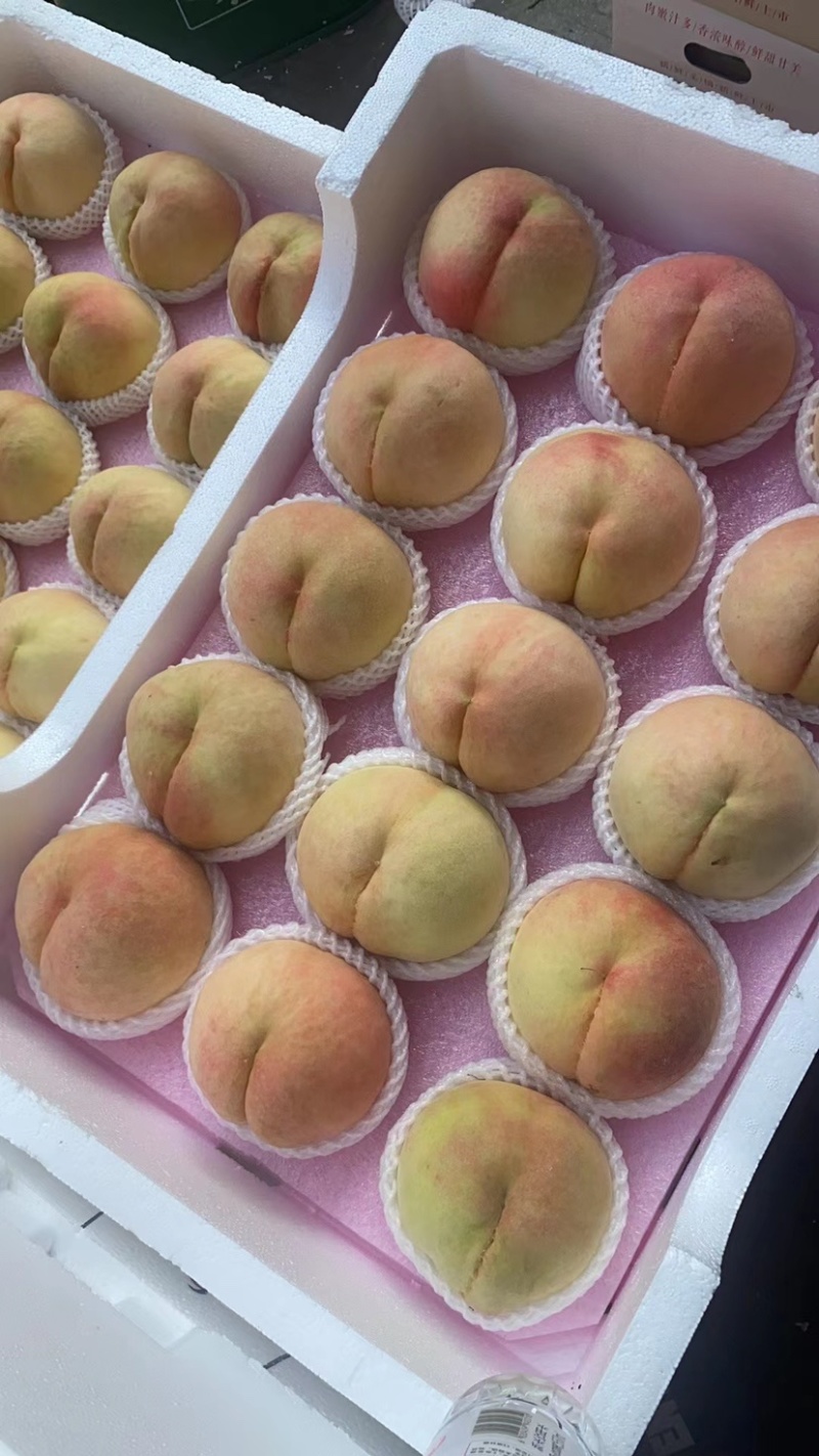 无锡阳山水蜜桃、一件代发、批发、团购、货源稳定、长期供货
